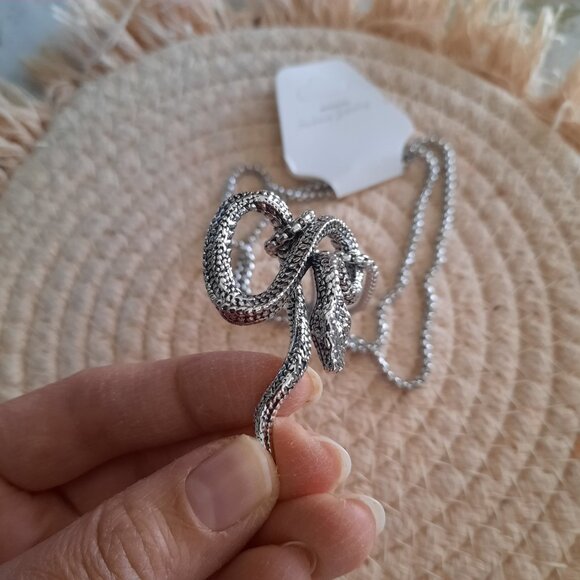 Snake Pendant Gothic Pendant Necklace - Stainless Steel, NEW! - Picture 9 of 14